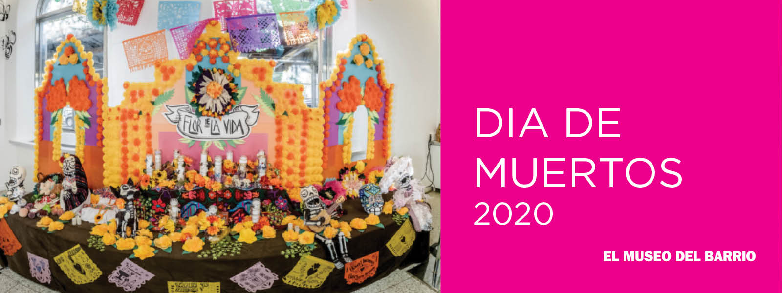 MANOS A LA OBRA | Ofrenda en Casa | El Museo del Barrio