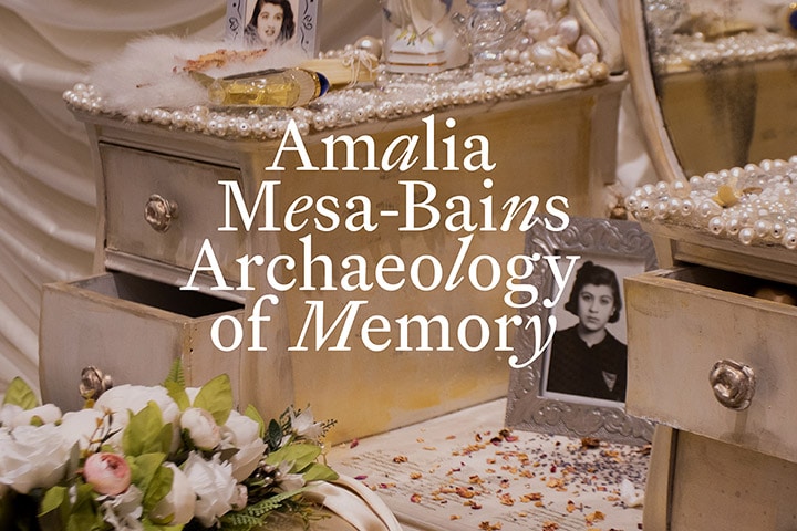 Banner for Amalia Mesa-Bains: Archaeology of Memory