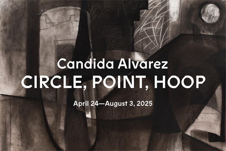 Image for Candida Alvarez | Circle, Point, Hoop
