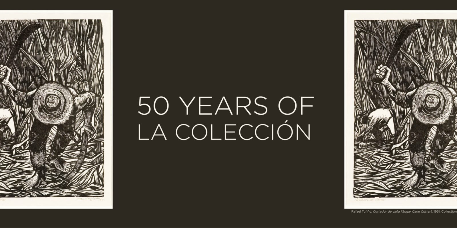 50 years la coleccion